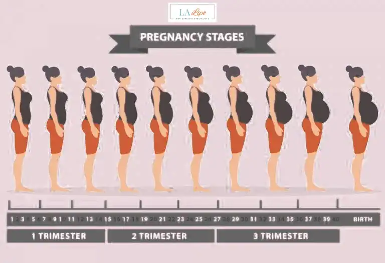 First Trimester (Weeks 1–12): Early Changes You Might Not Notice King's Norton